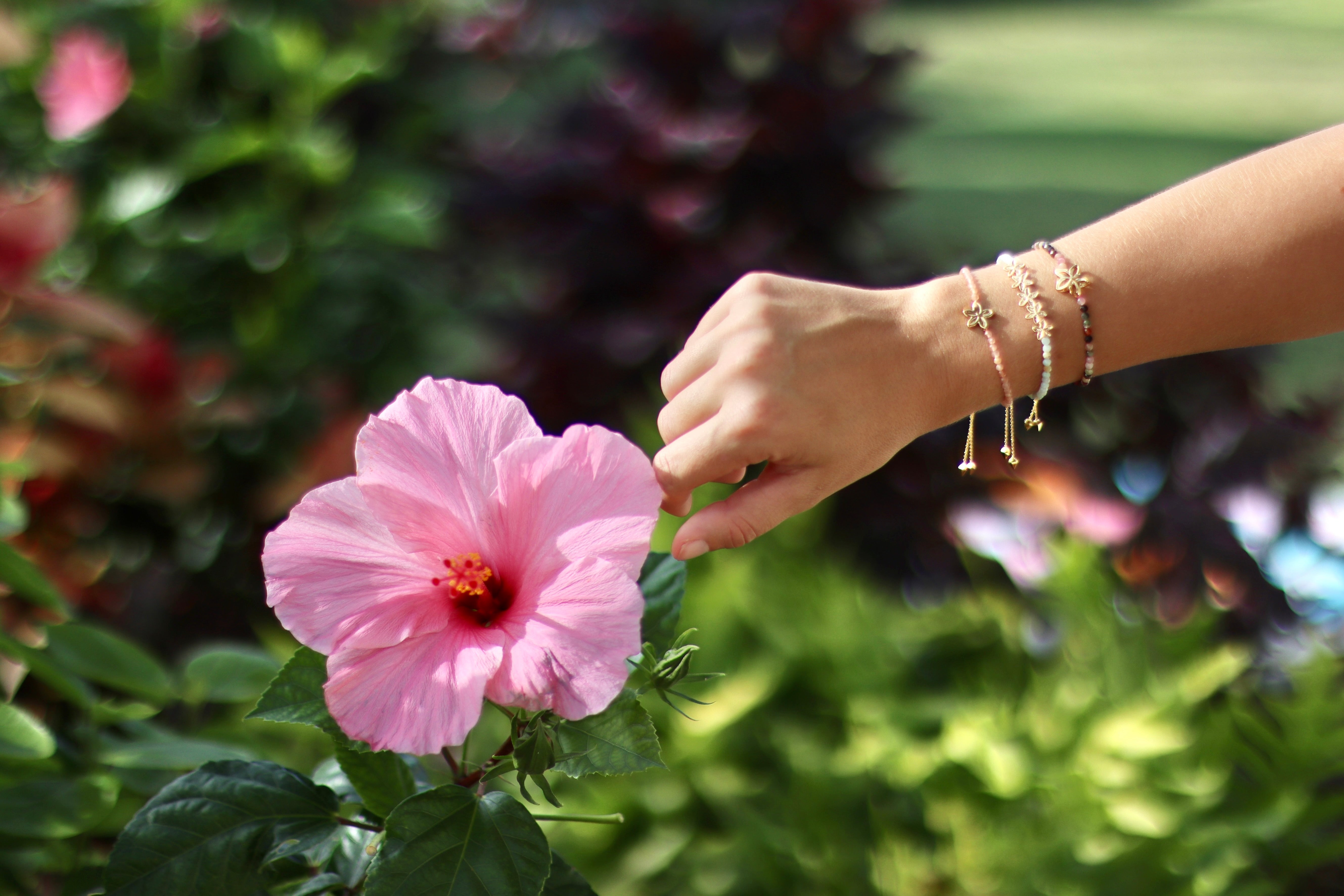 Plumeria + Rhodochrosite Bracelet
