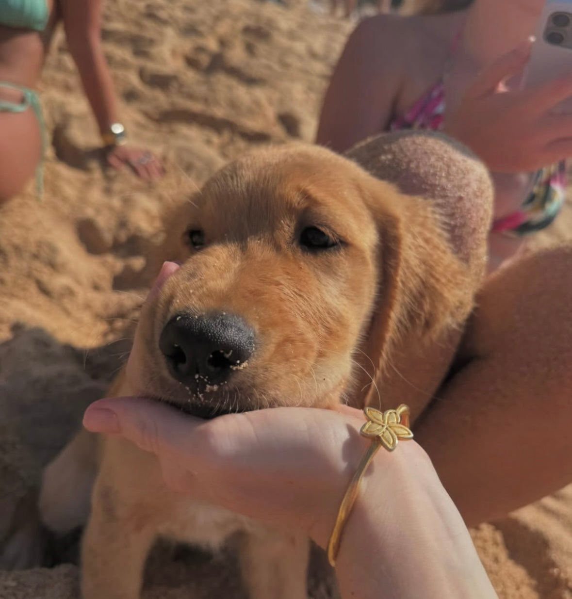 Plumeria Gold or Silver Bangle