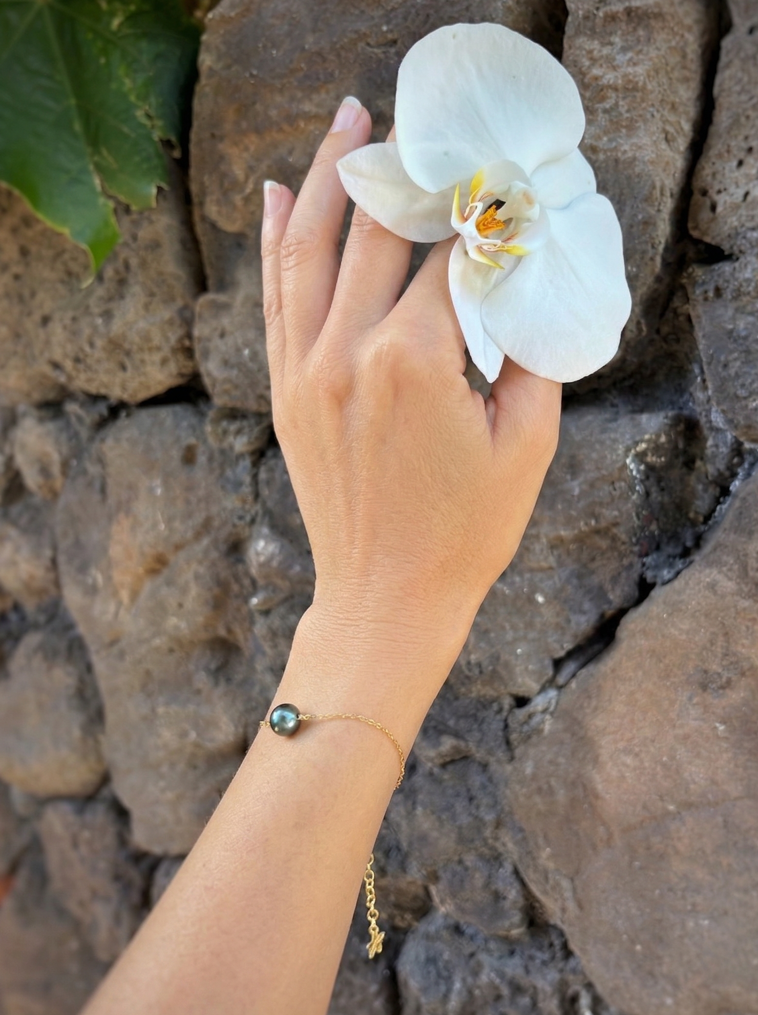 solitaire tahitian pearl on model