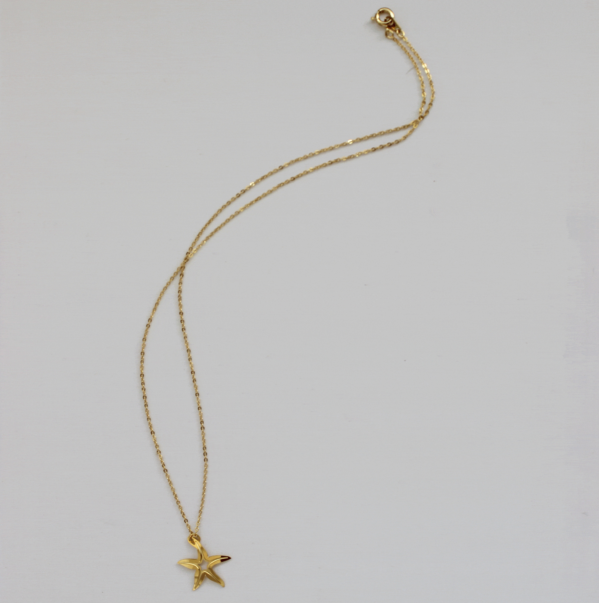 Starfish Necklace